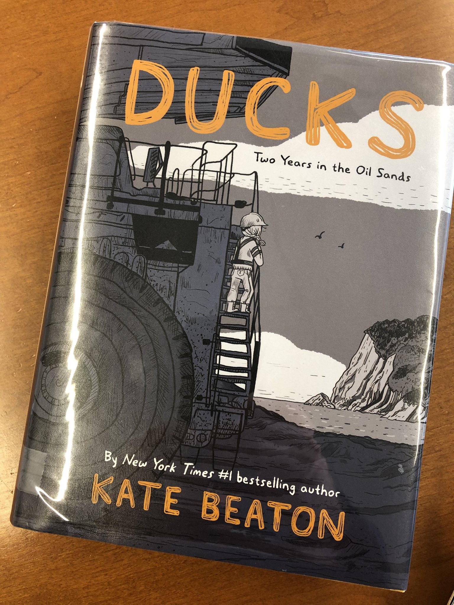 ducks book cover
