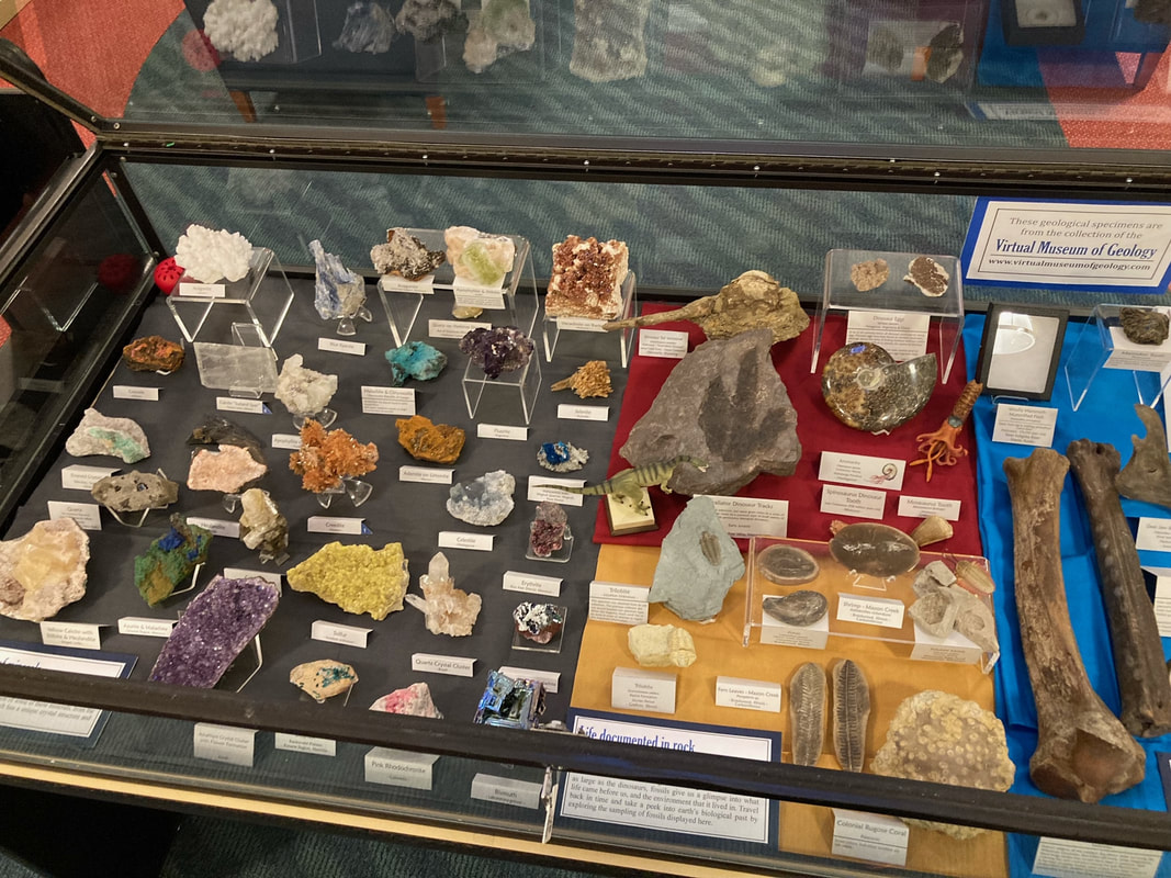 top down view of a flat display case brimming with a variety of fossils and minerals