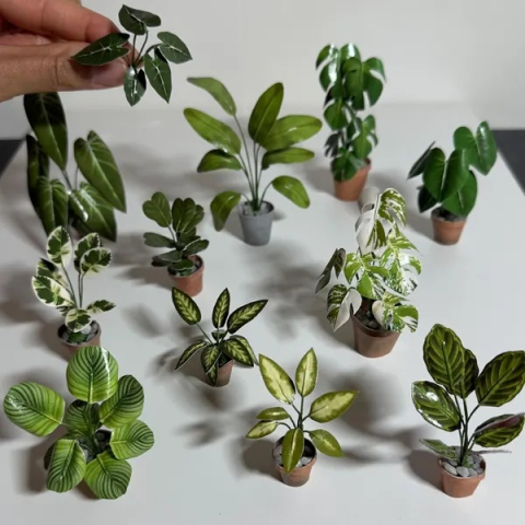 Miniature houseplants
