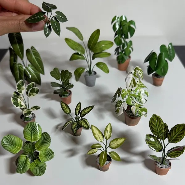 Miniature houseplants