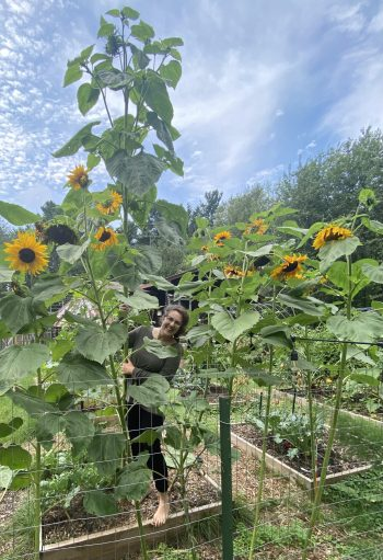 Image provided by Amanda Strojinc