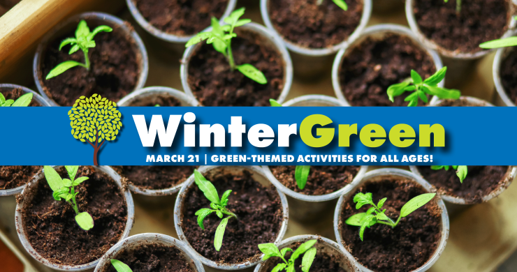 Click to see a the schedule for the WinterGreen Festival on March 21